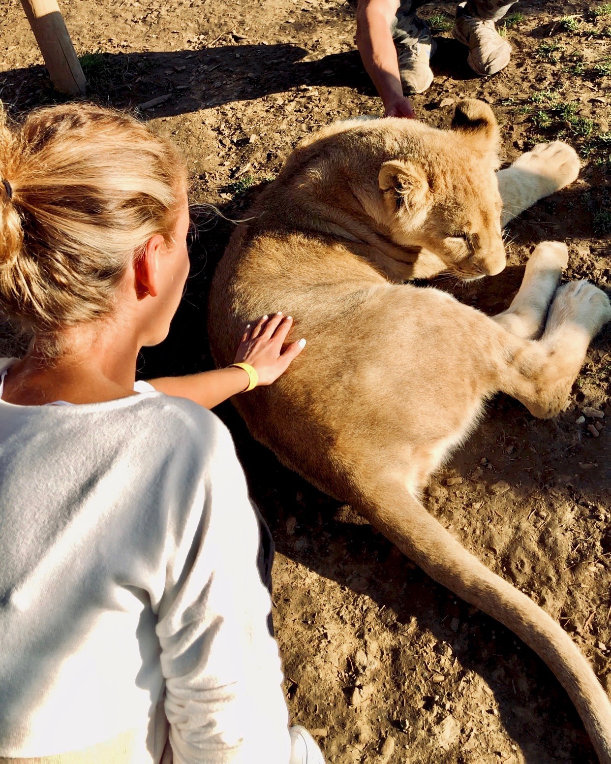 Zakopané a ZOO Kontakt